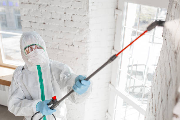 Best Mold Remediation for Healthcare Facilities  in Dike, IA