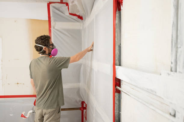 Best Emergency Mold Remediation  in Dike, IA