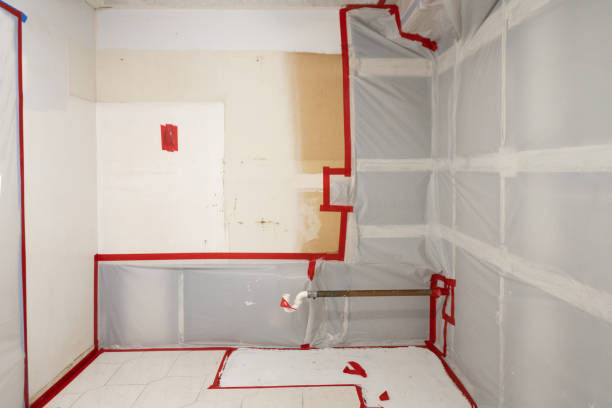Best Attic Mold Removal  in Dike, IA