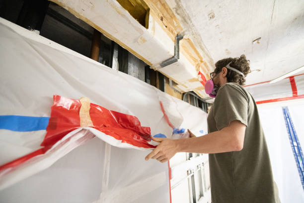 Best Environmental Consulting for Mold Prevention  in Dike, IA