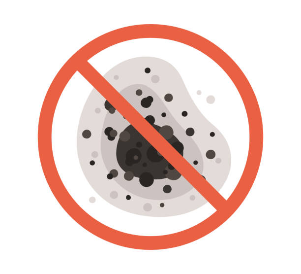 Best Mold Prevention Services  in Dike, IA