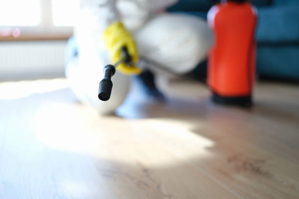 Best Mold Removal for HVAC Installations  in Dike, IA